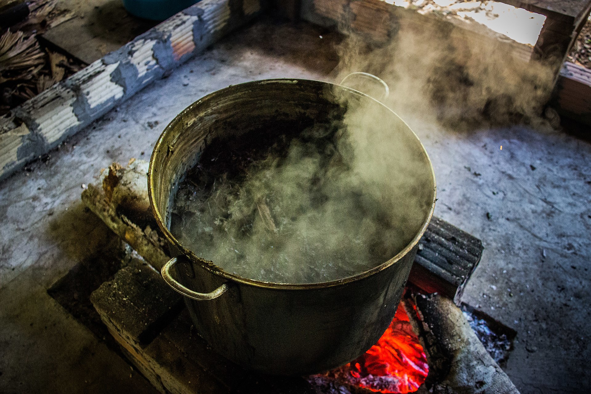 Ayahuasca brewing 02
