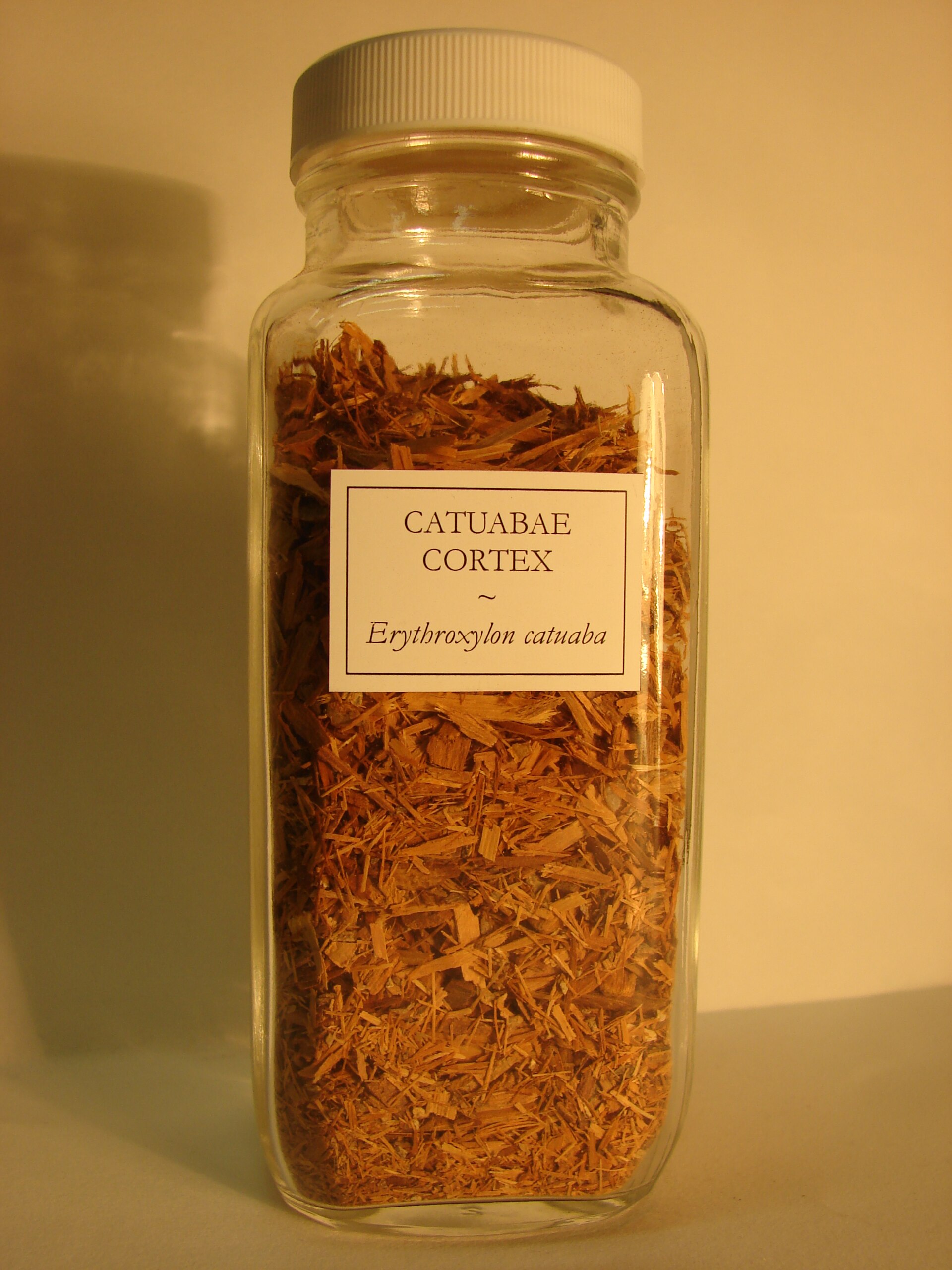 Catuaba